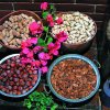 Cretan Nutrition
