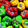 Cretan Nutrition
