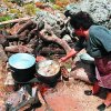 Cretan Nutrition