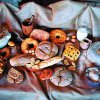 Cretan Nutrition