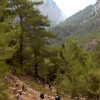 Samaria Gorge