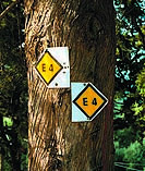 e4.jpg