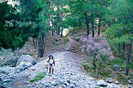 mountaineering.jpg
