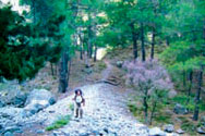 mountaineering_chania.jpg